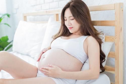 一年中哪几个月怀孕最好？有利于更好地护理婴儿和产妇的身体恢复