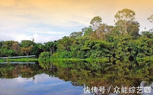 亚马逊|世界上最大的热带雨林，面积超过大半个中国，号称“地球之肺”