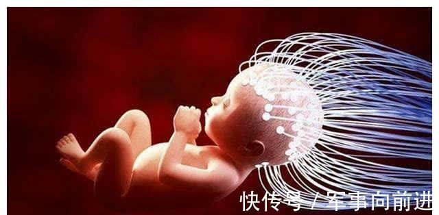 黄金期|胎儿大脑发育的“黄金期”有2个，孕妈要提早为宝宝的发育做准备