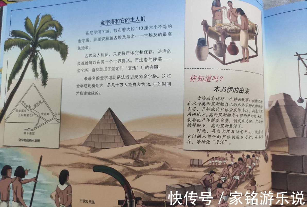 冰川时代|写给孩子的历史书｜《地图上的全景世界史》，一场穿越时空的旅行