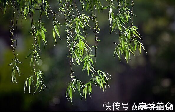 苏轼|苏轼很有特色的一首词，名句纷呈，“天涯何处无芳草”也出自此词