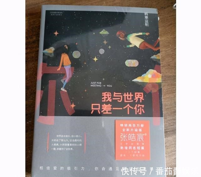 治愈|张皓宸《我与世界只差一个你》一本暖心治愈的爱情故事书
