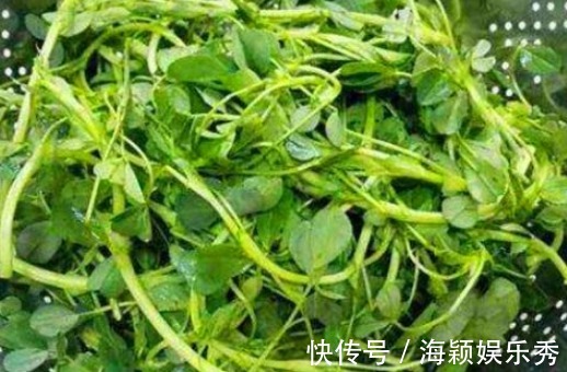 疏通|女性到了中年，4种食物换着吃，疏通血管，润肤养颜，早吃早好