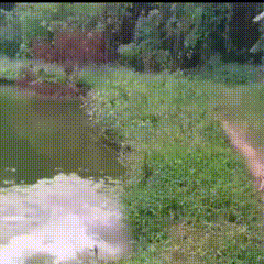 |搞笑GIF：女朋友总是这样出现 我的小心脏都快受不了了