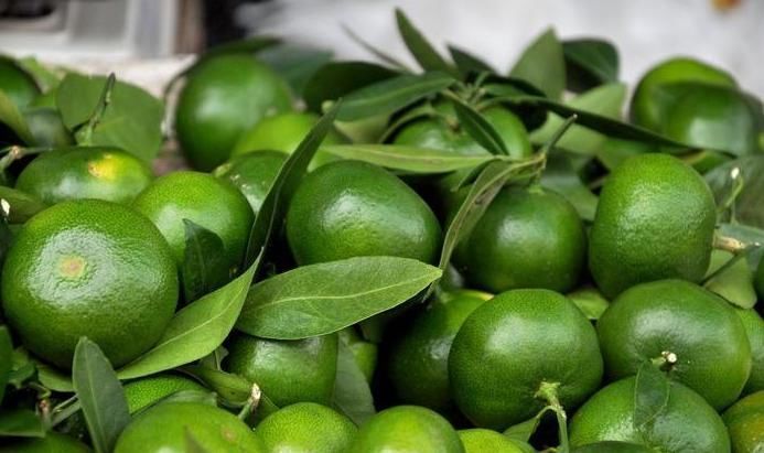 橘脐|买橘子,“公母”要分清,要挑母的,记住4点,保证个个香甜多汁