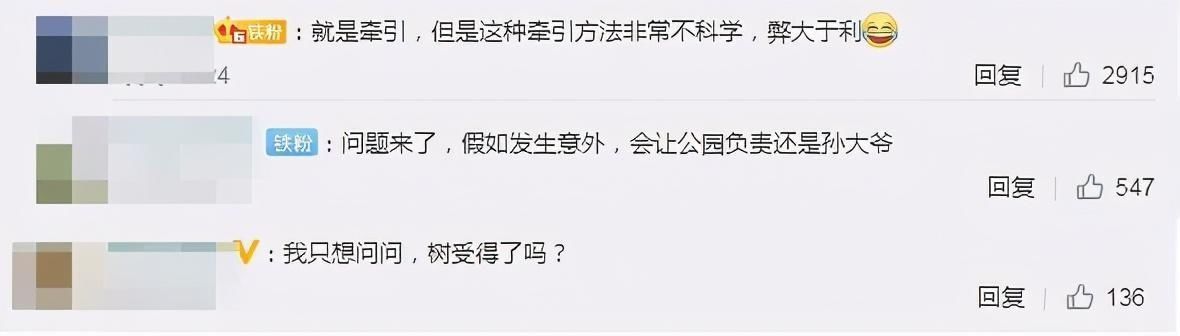 锻炼方式|大爷大妈为治疗颈椎病把头挂树枝上锻炼，跟随绳索摇晃！网友：确定老年人可以这么玩？