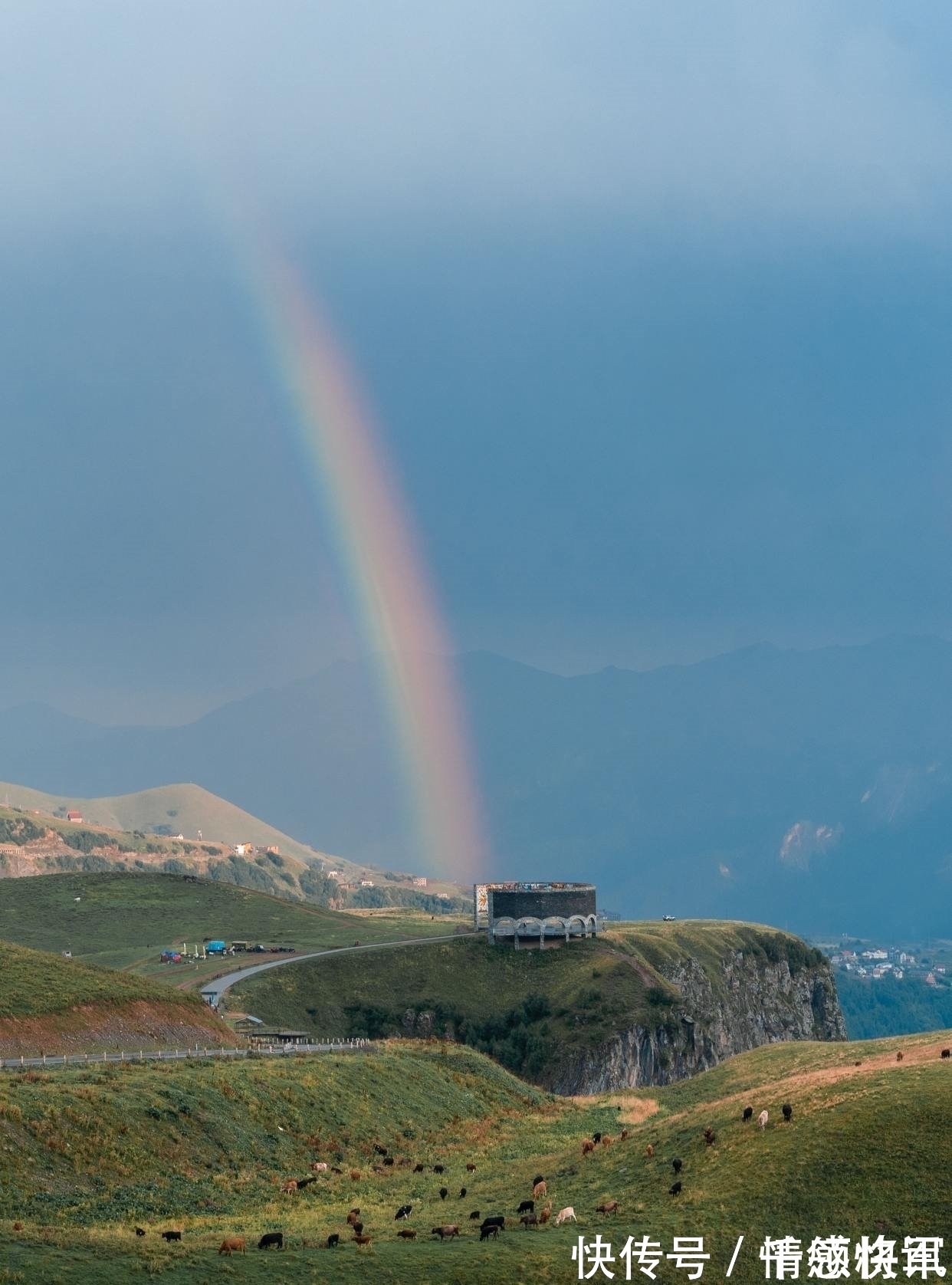 春天!王维很美的一首田园诗,短短4句却写得扣人心弦,值得学习