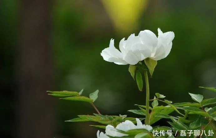 绿阴幽草|太行大峡谷如画的美景就等你来撩，峡谷漂流一票两人