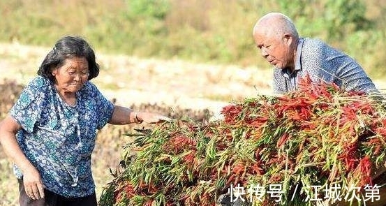 特征|长寿老人的4个共同特征,若你全有,可能长寿离你越来越近