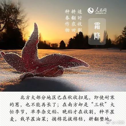 萝卜$今日霜降,大人、孩子多吃这些蔬菜,对身体最好