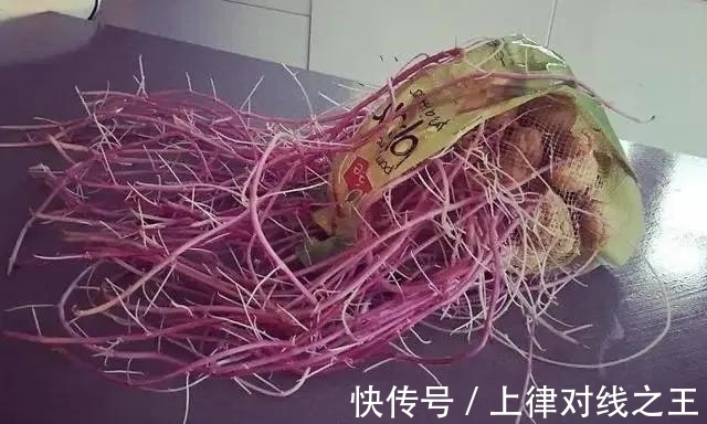 土豆|土豆发芽有多恐怖!26张照片告诉你,它才是这个星球最神奇生物