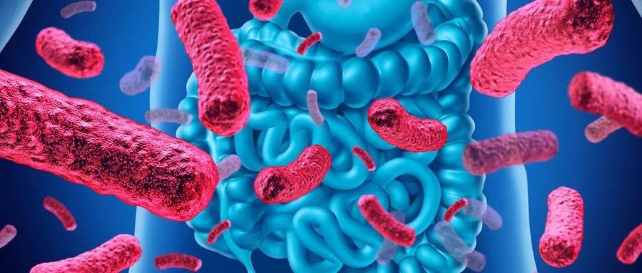 结直肠癌|34岁抗癌博主阿健离世，结直肠癌发病人数逐年攀升！要怎么防？