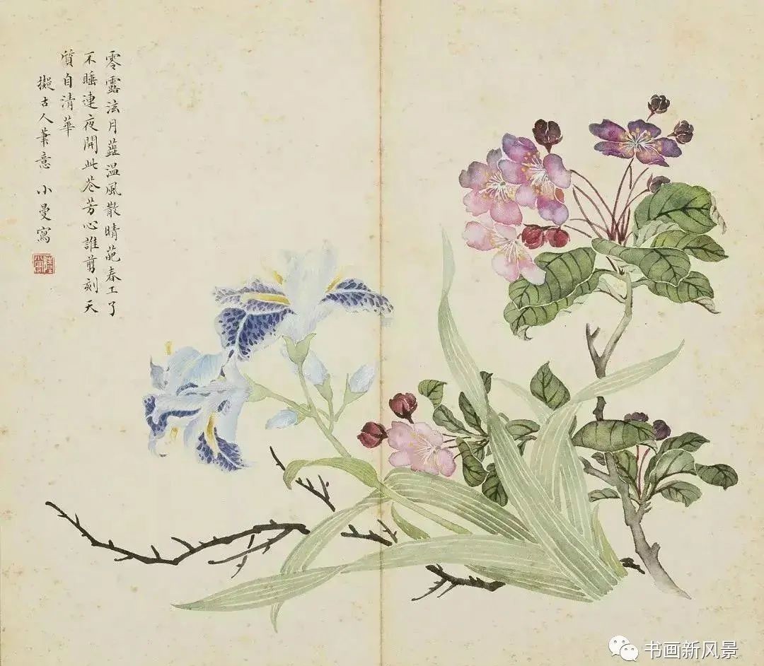 陆小曼花卉册页,很美很惊艳!