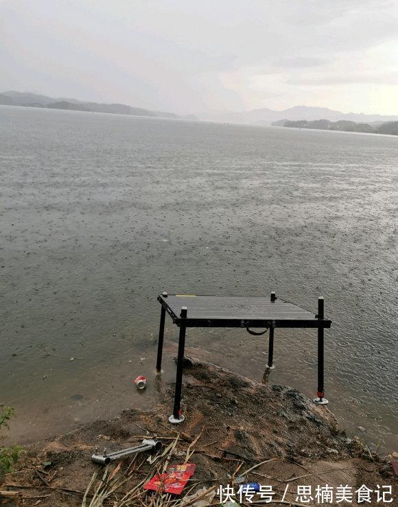 养殖|上海淀山湖,雨中有大甲鱼爬上岸,被钓鱼人捉住,钓鱼人:沉得很