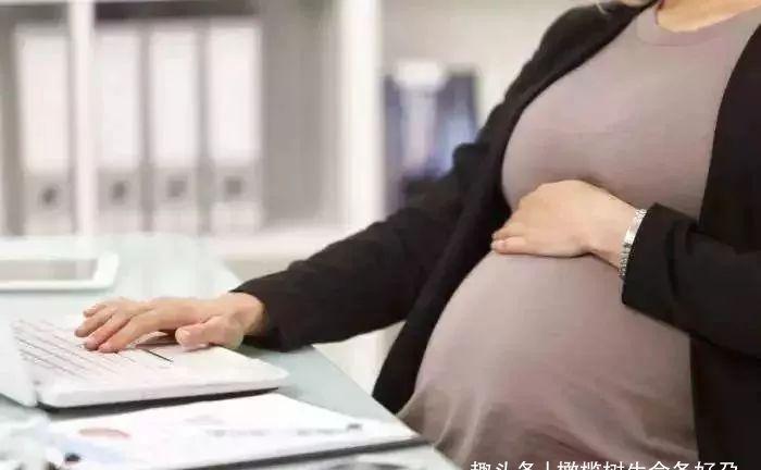 钟女士|“怀孕后要不要辞职?”成准妈妈纠结难题,过来人经历值得参考