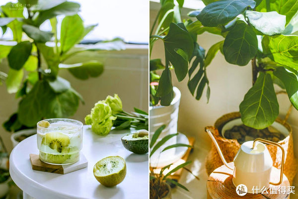 coco|苏州一对夫妻的“穷装”新家，引起强烈舒适，越简单，越幸福