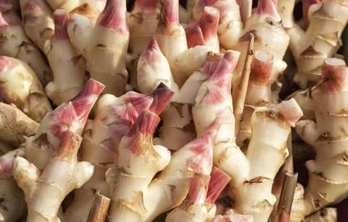 保存生姜别再放冰箱了，姜农分享3个小妙招，久放不干瘪不发芽