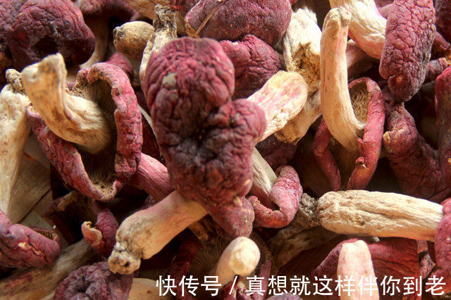 颈淋巴结核|这六种野菜在农村都十分稀少，药用价值极高，更是有防癌的奇效