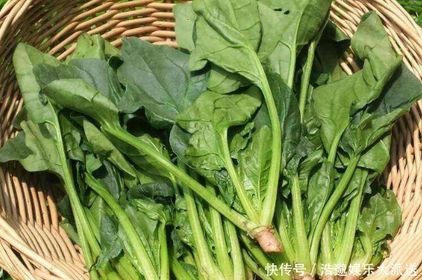 豆腐|夏天吃豆腐要谨记“4个不要”,吃错了不仅没营养,还危害健康