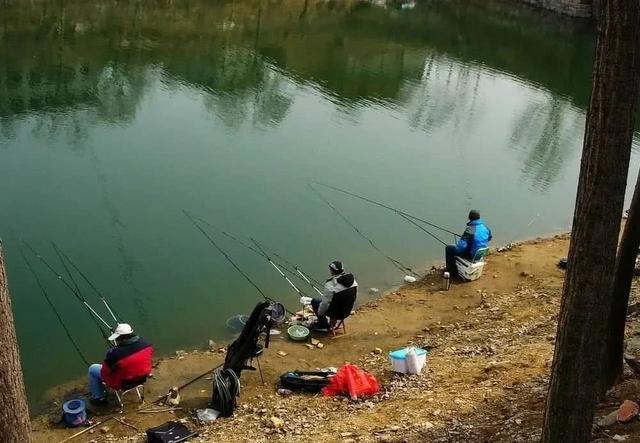 晚秋钓鱼,三种钓位不下竿,三种天气不钓鱼,这种天气能爆护。