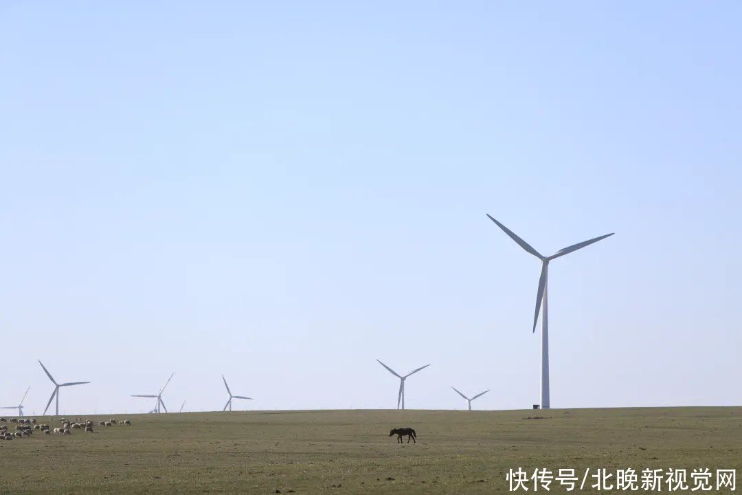 假期|横穿祖国最北方丨端午假期，快来草原上撒点野