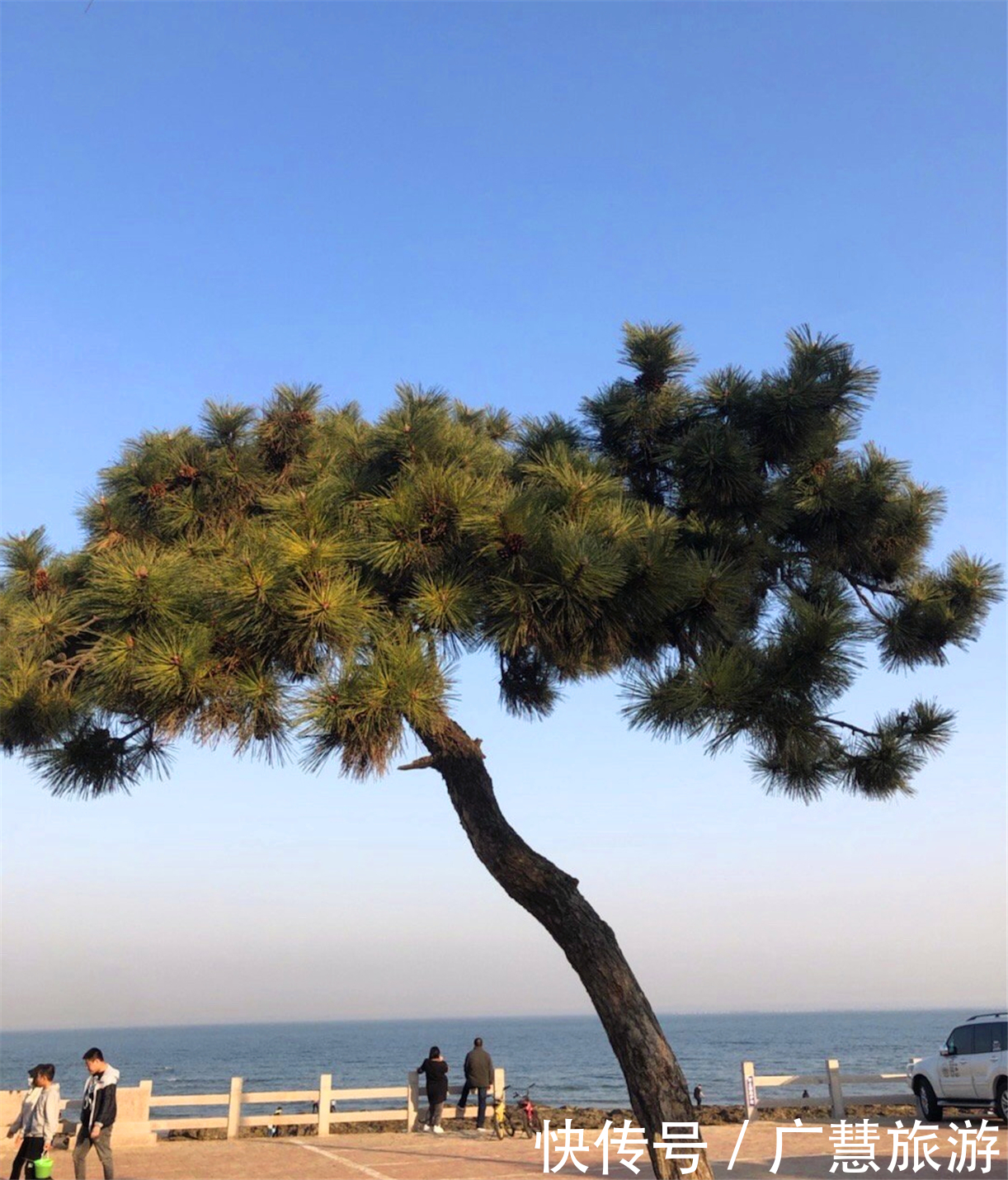 日照一日游吃海鲜住宿游玩攻略,各项信息超齐全做好攻略没毛病