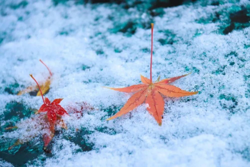 惊艳|注意！如皋初雪惊艳整个朋友圈！降温结冰，上班路上注意安全！