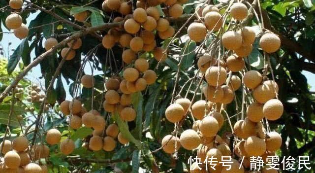 滋补身体|女性不愿早衰,常吃4种食物,减肥瘦身,滋补身体,早知早好!