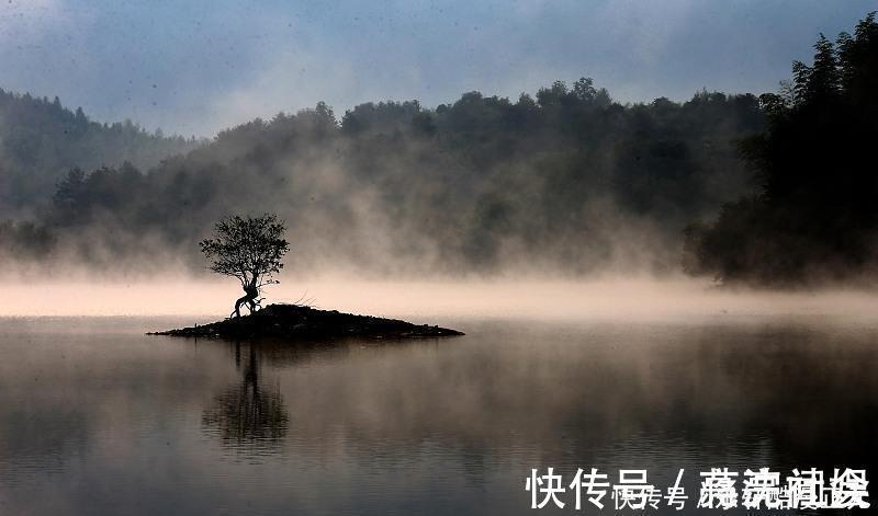 天蝎座|有颜值，又有才华的三个星座，既能貌美如花，又能赚钱养家