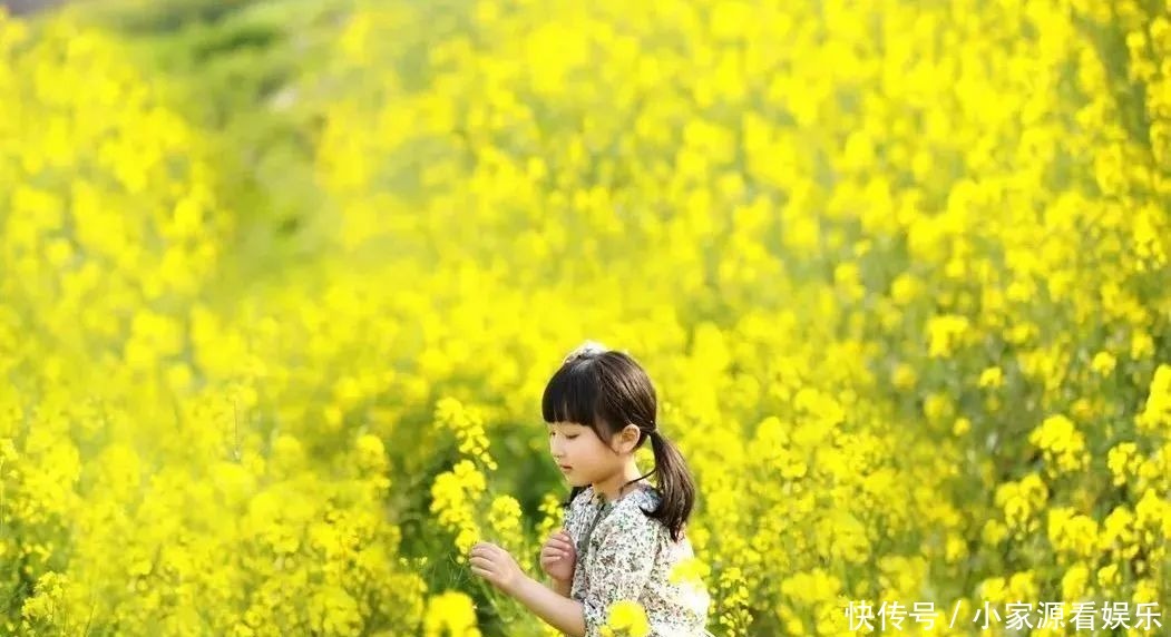 油菜花开！一起遇见最撩人的春天～