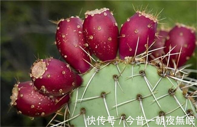 此果|女性不想老太快,多吃此果,小肚子平了,气色好了,人更显年轻