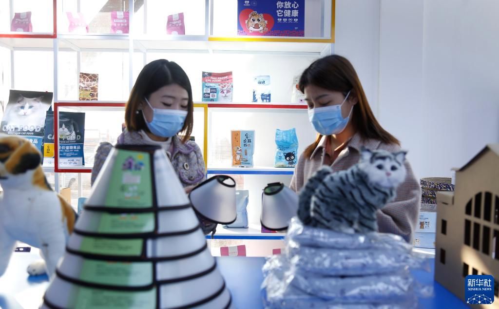 市场|小宠物撬动大市场