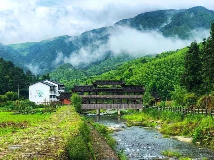 泰顺岭北冬意浓，村尾五古正当红|古村行记 | 廊桥