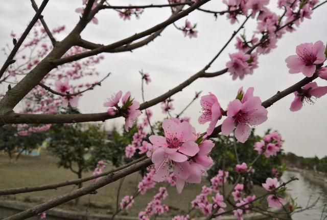 千古绝对@3副千古绝对,文采长出了翅膀,令人拍案称奇