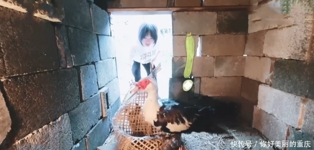 雪琴 蘑菇屋迎来“全能型”女嘉宾,徒手去鸡窝拿蛋,木匠活也很溜