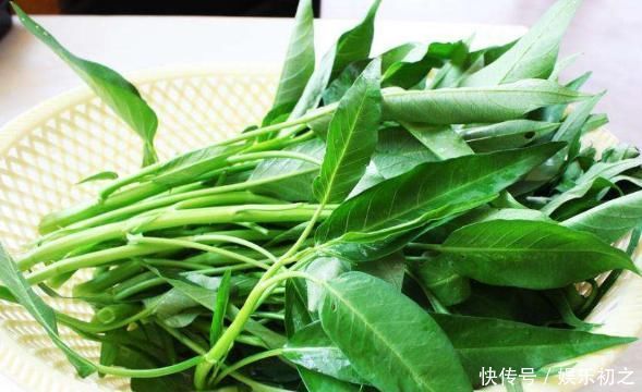 阳台种上“4种菜”,长得快结果多,吃了一茬又一茬,懒人必选