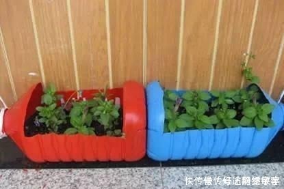 用完的洗衣液瓶千万别扔，它大有妙用！