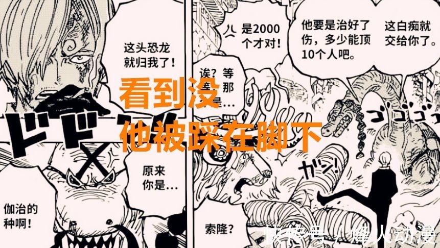 索隆|海贼王1020话:网友都说索隆要比山治强,但却忽略了一个逻辑问题