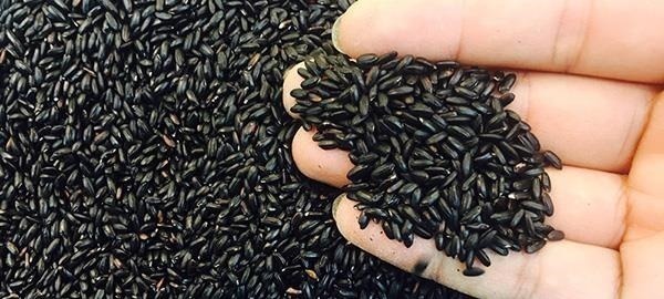 糖尿病人|糖尿病人不能吃米饭做到以下几点,不但能吃还能控糖!