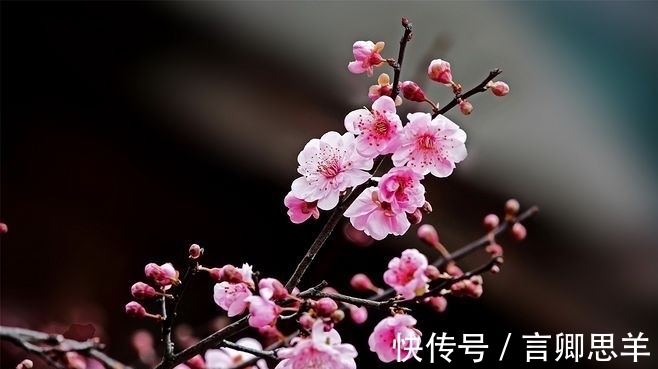 珠玉!觅得芬芳雅句,迎来珠玉文章,心随诗赋任翱翔,脉脉写情长