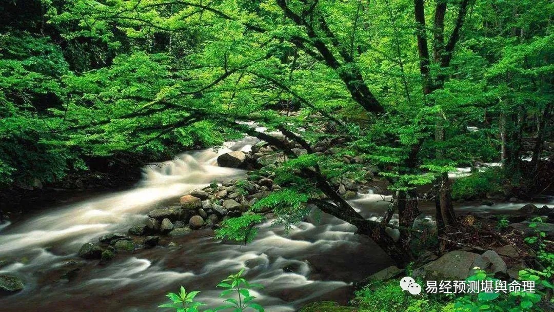 名声！一个人的四大天规，违反必有灾！(强烈推荐）