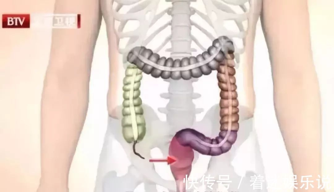 腹泻|肠道一生病,全身都遭殃?每天吃点它,清肠道,强体质,赶走节后肠胃不适