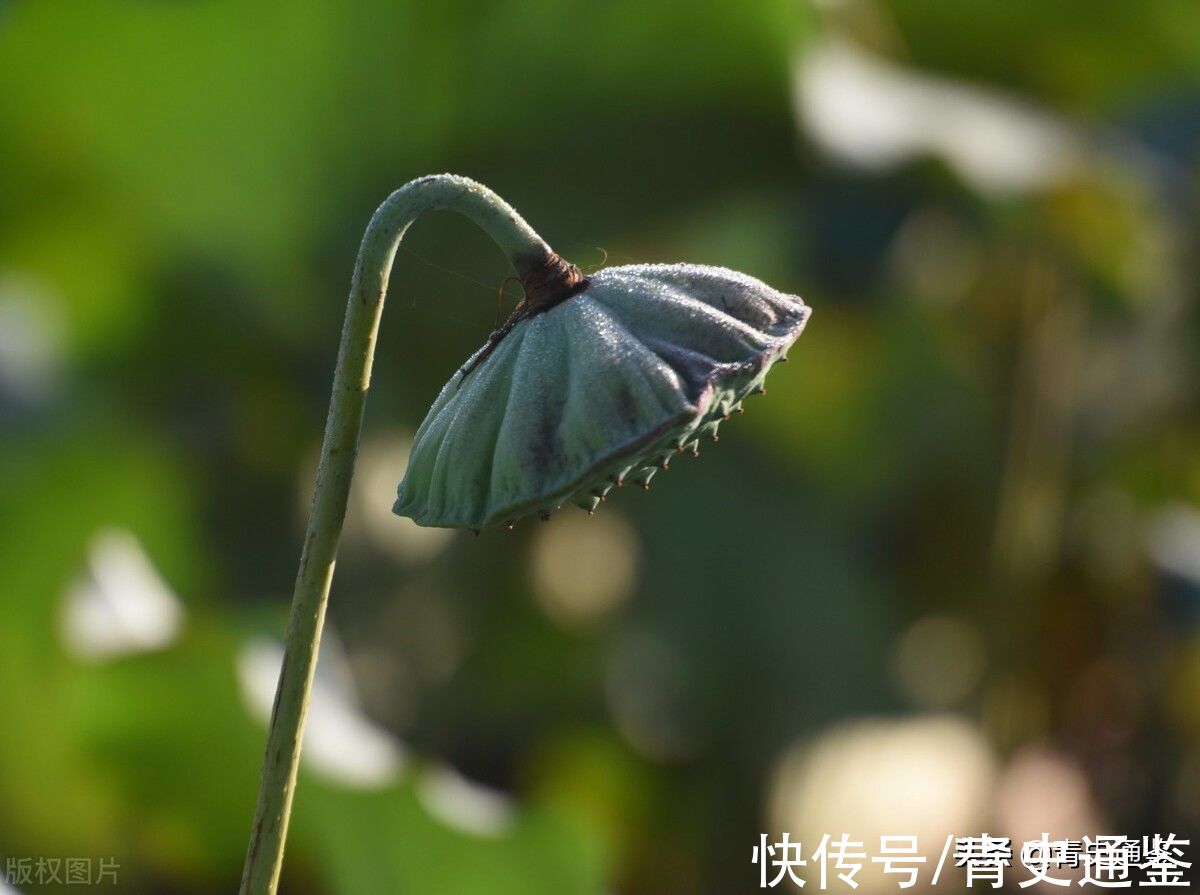悲剧的诞生|尼采：生命中值得严肃对待的事，是这6种，千万要重视