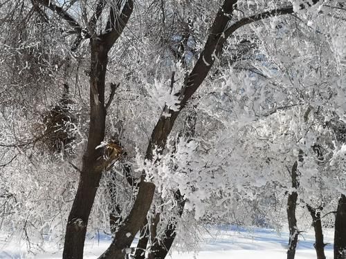 新春佳节|2021 年 2 月，乌鲁木齐自驾攻略——独山子村