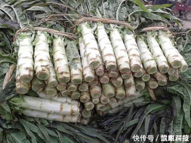 糖尿病患者|得了糖尿病别着急,生活中敞开吃4物,血糖或能悄悄下降