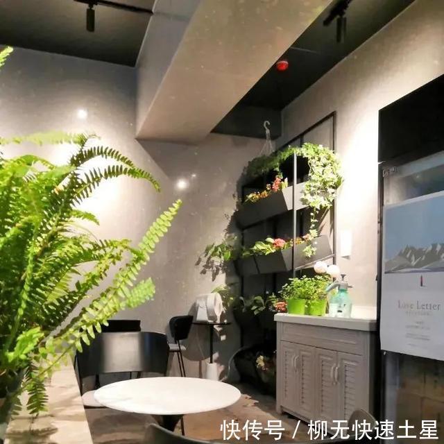 上海|打卡|不用飞日本,在这些店里也可以喝到正宗的日式咖啡啊!