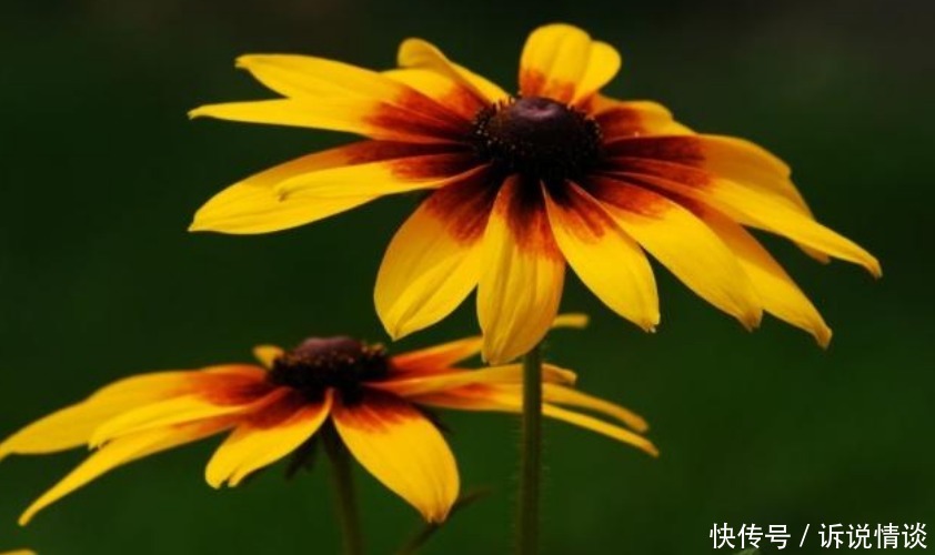 家人|曾国藩:在这3方面舍得花钱的人,即便再穷,也有财源滚滚的一天