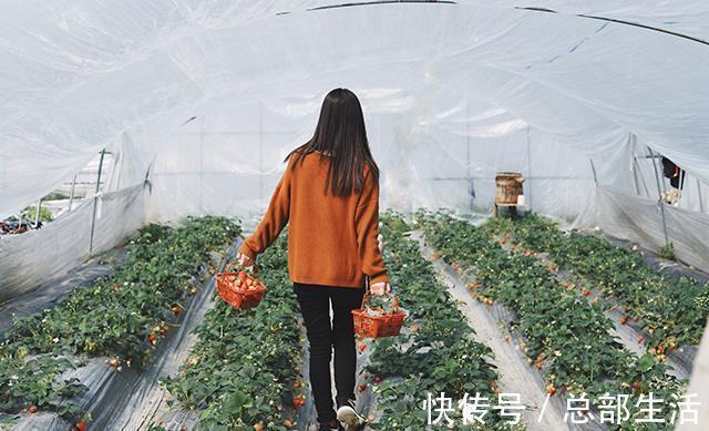 刘邦文@一位高人的点拨这四句话,若能参透,迎来大格局,越来越走运!