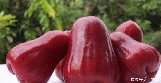 榴莲|“最坑人”的4种水果,买的人还很多,全吃过的都是“土豪”