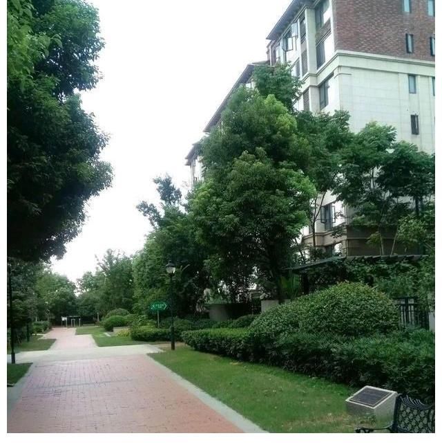 炒房|我国的房价泡沫大吗？真不大